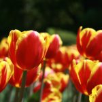 如何在28圈.com上获取最新资讯与互动体验 0i4zirk