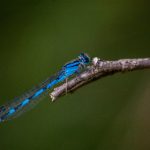 如何在8868体育网页版上进行安全可靠的在线投注? 0p48v