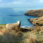 如何安全便捷地访问乐鱼体育官方登录网站的完整指南 1i5990l