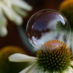 如何在ku游bet9上获得最佳游戏体验与丰厚奖励 8vnm9g3