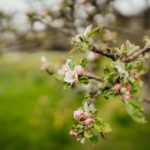 如何在浩瀚体育电脑版上获取最新体育资讯与赛事动态 9nidkmx0l