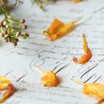 奇异果体育TV如何改变我们观看体育赛事的方式与习惯 aaom4earn