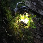 如何在雷速体育官网上获取最新体育资讯与赛事分析 nvv1f99k