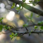 如何在39152.com上获取最新资讯与资源分享 qkkhncfe8