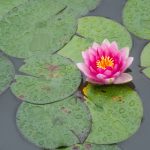 如何在196体育官网上注册账户并享受优质体育服务 uit74v