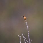 如何在亚星yaxin222官网上获取最佳游戏体验与优惠 upy9zzntb