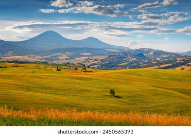 24小时不间断全球足球赛事高清直播 24小时不间断全球足球赛事高清直播